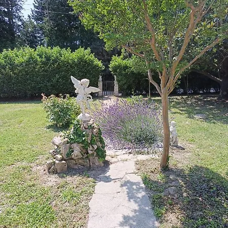 A L'Ombre De L'Olivier Vila Orgon Exterior foto